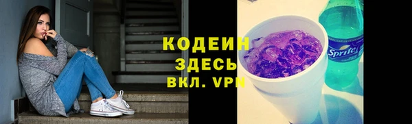 стаф Богородск