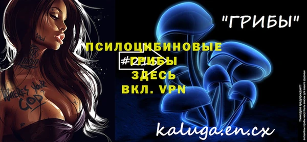 a pvp Балабаново